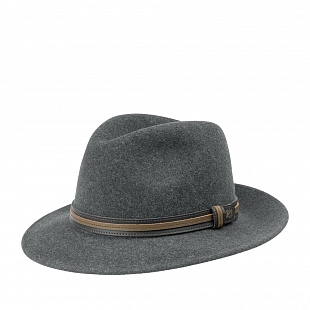 2Картинка Шляпа Bailey Brandt Grey